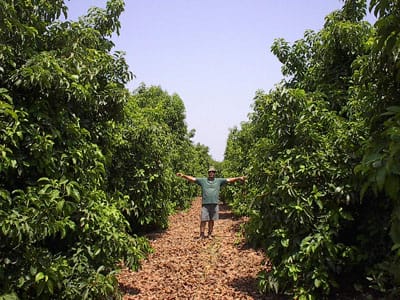 Les avocats israéliens profitent du vide du marché européen.