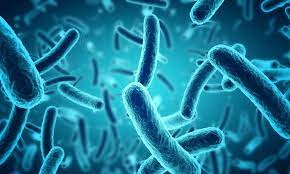 Israël développe une méthode I.A pour adapter les antibiotiques aux patients et prévenir la résistance des bactéries.