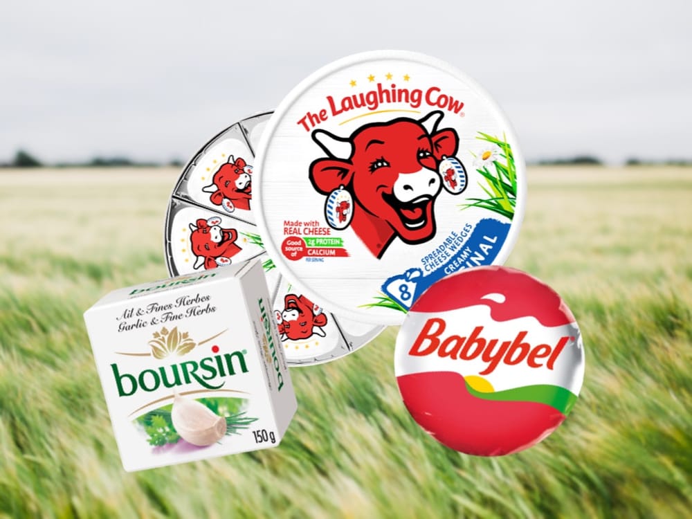 Manifestations et appels au boycott des produits français. Le cas du Koweit.