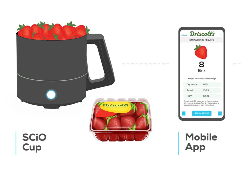 Le géant des fruits Driscoll’s adopte une solution technologique israélienne pour la mesure des baies.