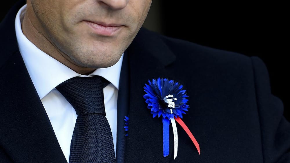 Journée de célébrations en France. Coquelicots & bleuets.