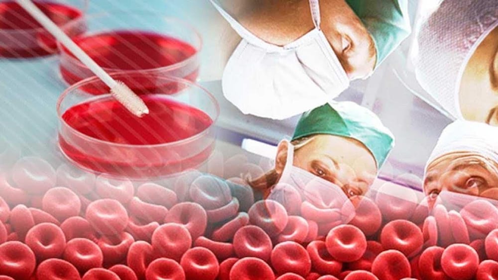 Une nouvelle percée israélienne dans le traitement contre le cancer du sang redonne espoir à des millions de personnes.