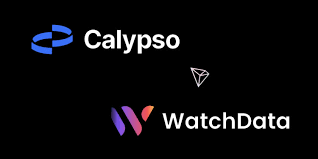 C’Israël. Calypso Pay fusionne avec TheWatch pour construire un écosystème Fintech crypto-natif.