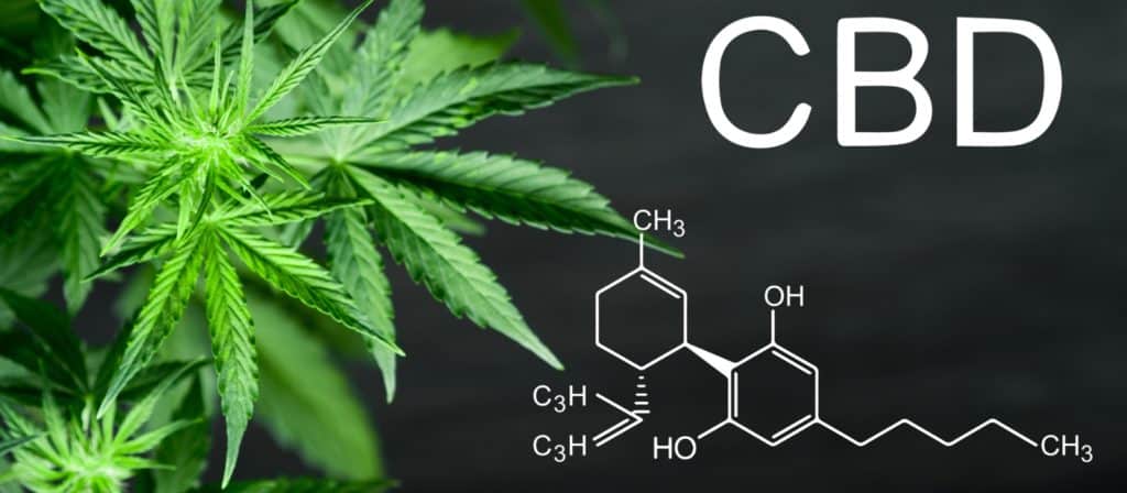 Israël sur les starting-blocks : L’interdiction en France du CBD (Cannabis) jugée illégale par la justice européenne.