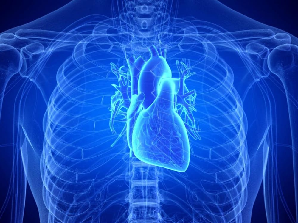 le Pr Emmanuel Messas, cardiologue. Des ultrasons pour soigner le cœur.