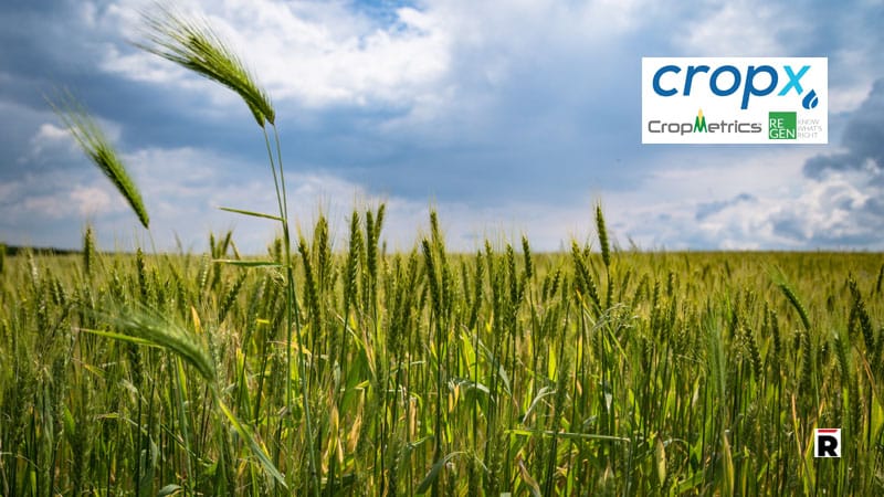 Le japonais NEC investit dans l’israélien Cropx qui voit  plus loin que l’irrigation.