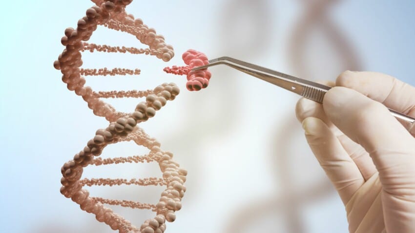 Une nouvelle étude de Human Genetics. Arabes et Juifs liés sur le plan génétique.