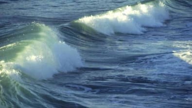 Energie houlomotrice en Israël. La firme Eco Wave Power signe un accord.