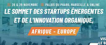 Emerging Valley : l’innovation en Afrique, sera en novembre à Marseille.