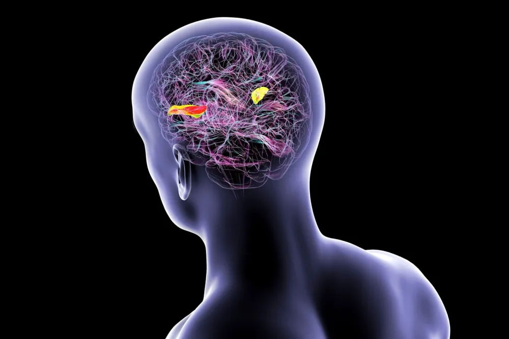 En Israël, « Cerveau sur puce » : Des scientifiques israéliens fusionnent des tissus cérébraux humains avec des puces électroniques.
