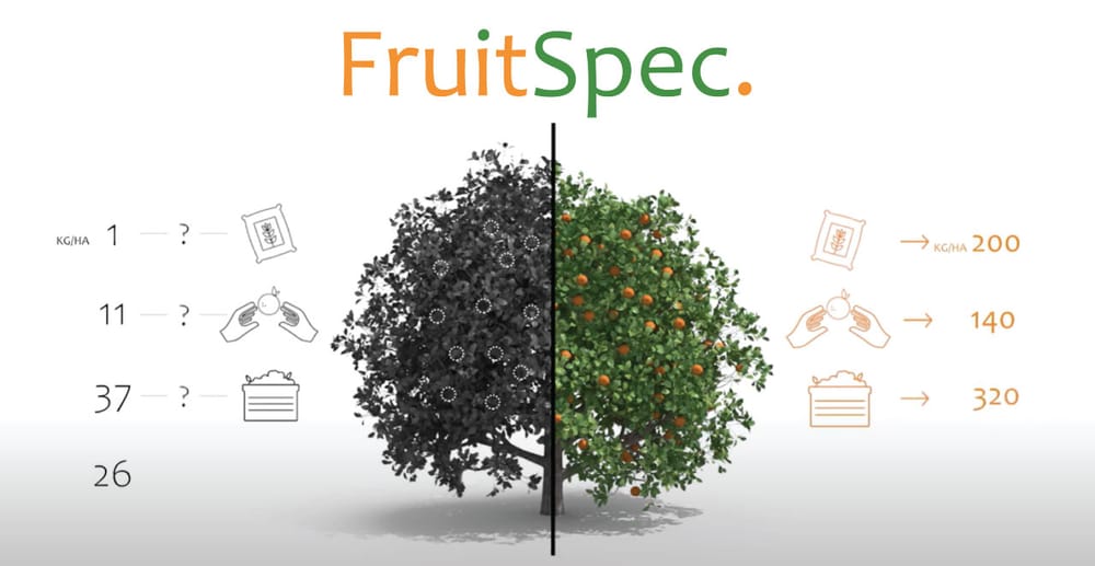 La société israélienne Fruitspec étend ses activités au Maroc.