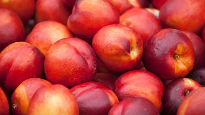 En Israël. Un drone capable de sélectionner et cueillir les bons fruits dans les vergers.