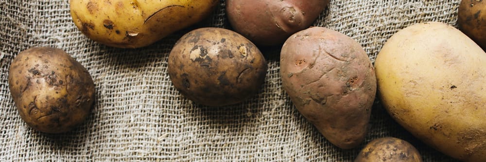 Un peu dingue… Les pommes de terre israéliennes sont-elles trop stressées? Des solutions?