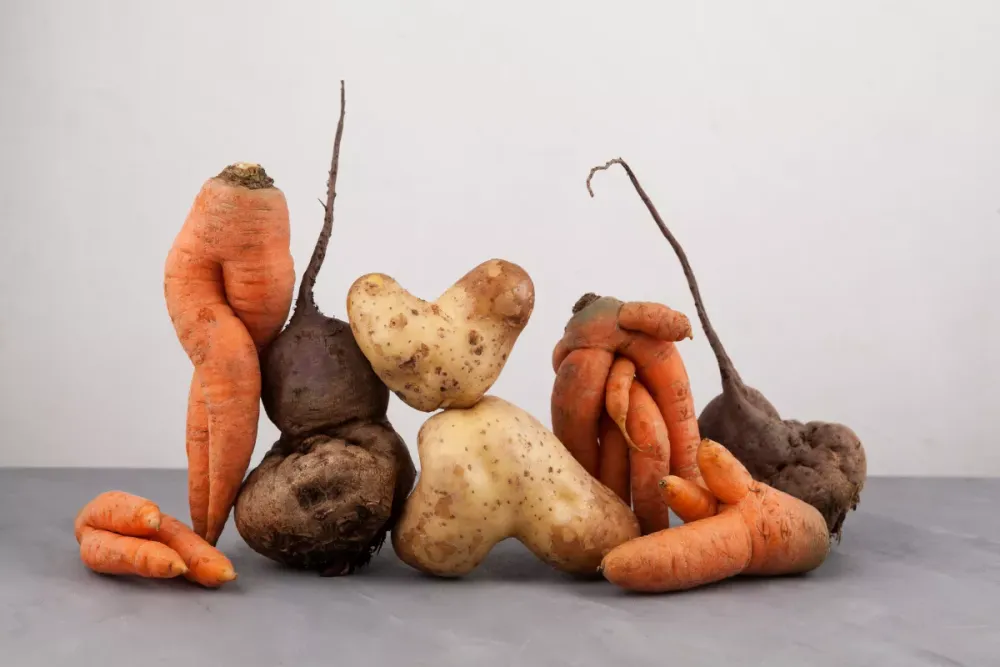 Légumes moches. Basée à Ashdod, Anina, une start-up incroyable.