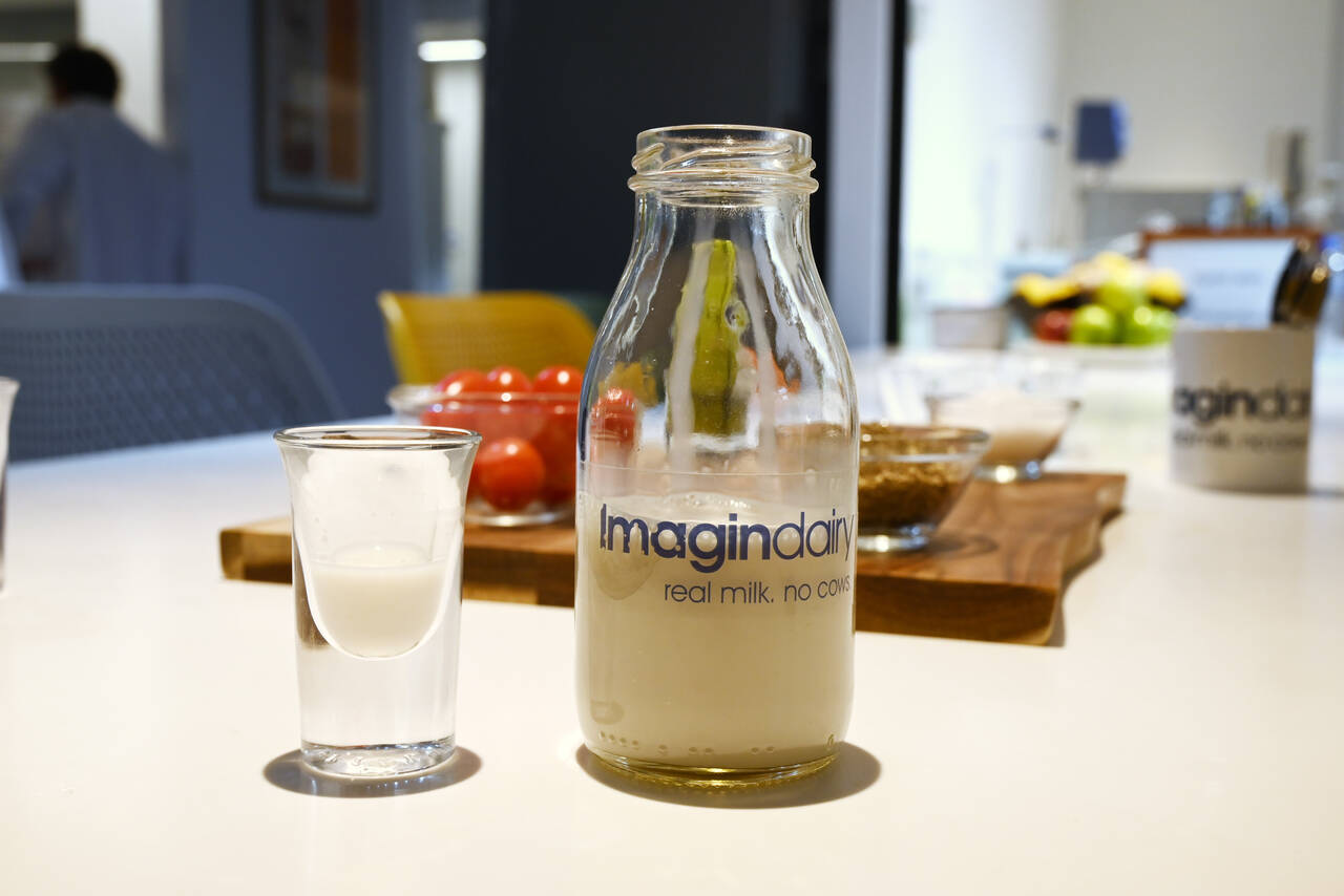Imagindairy (Israël) vient d’attirer le géant Danone dans son capital.