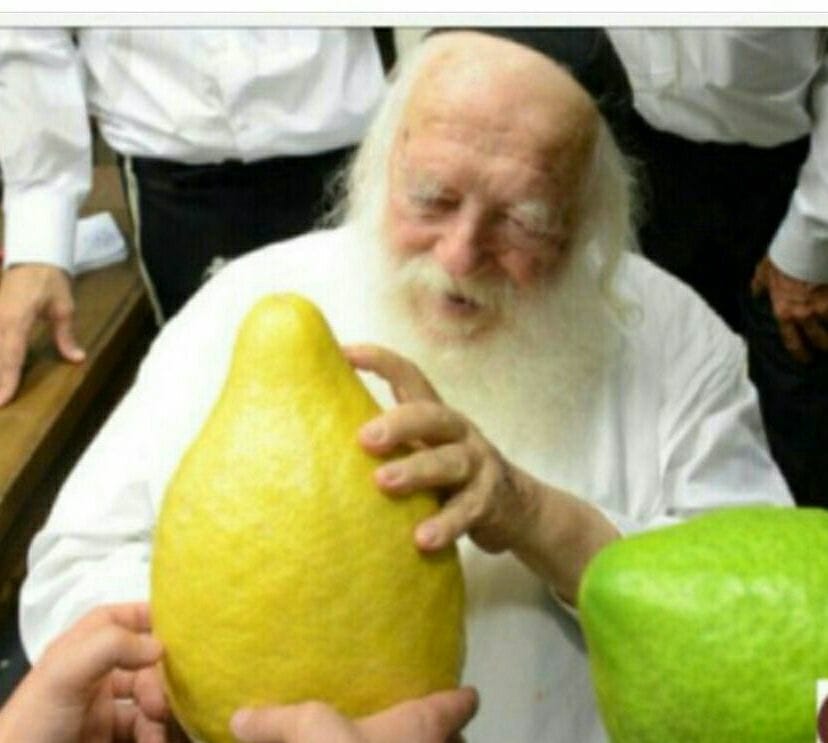 Le Rav Kanievsky a passé 5 ans à la tête du courant ultra-orthodoxe lituanien.