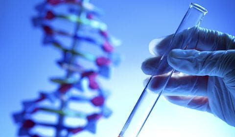 Sanofi et Biond Biologics (Israël). La start-up qui lutte contre le cancer.