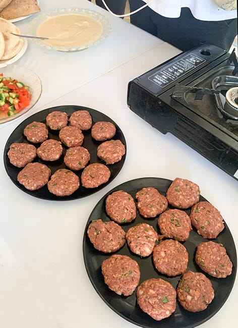 Hargol (Israël-Golan). 1ère ferme intensive de sauterelles au monde.