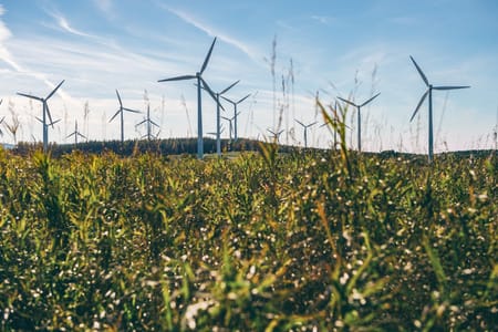 NetZero Tech Ventures : catalyseur de l’innovation climatique en Israël