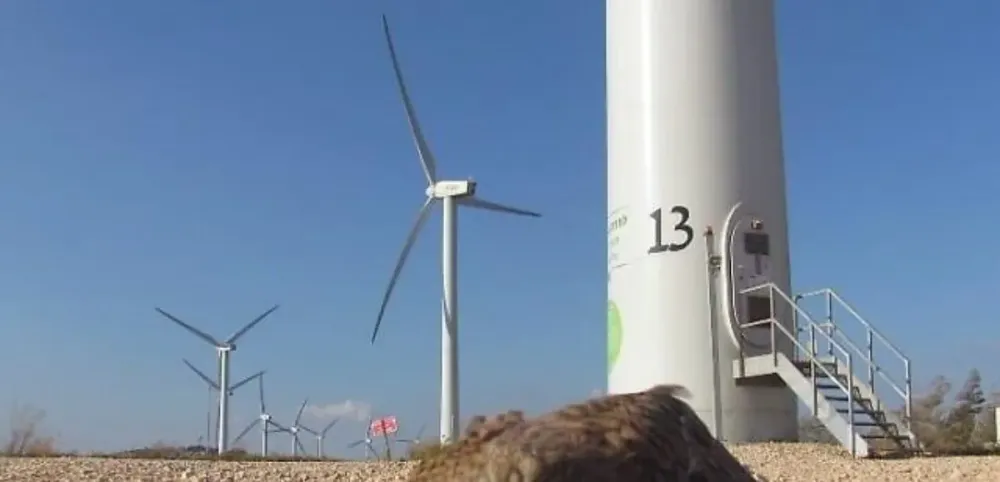 BomVento, une startup israélienne lance un revêtement spécial pour les pales des éoliennes.