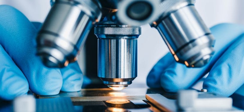 La recherche de substituts aux produits laitiers revêt une importance grandissante en Israël.