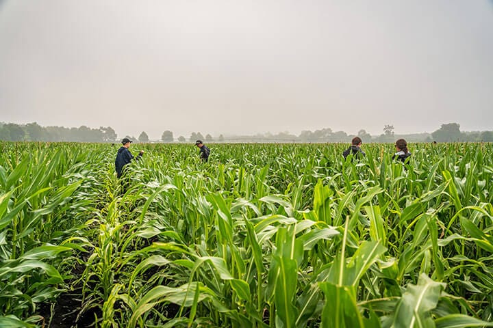 Israël-Papouasie. Des liens économiques bilatéraux (technologie agricole).