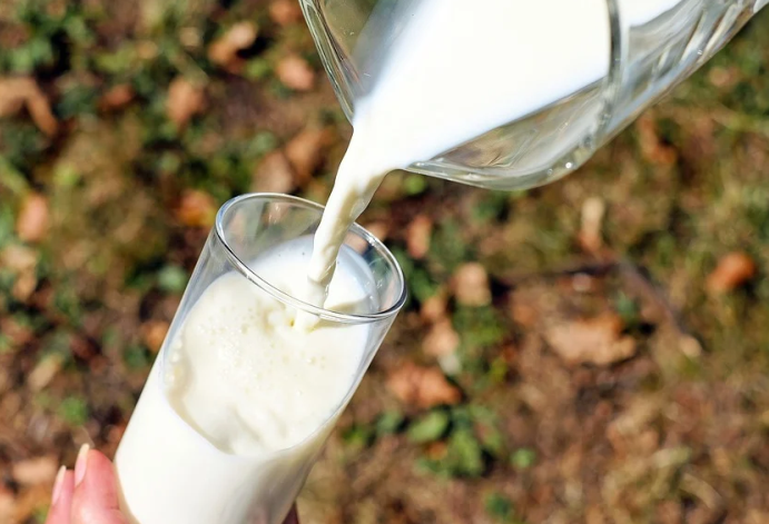 Success story. La start-up israélienne de technologie alimentaire Remilk.