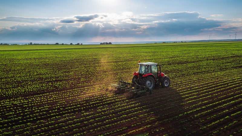 Le secteur agricole nigérian veut profiter des relations entre Israël et le Maroc.