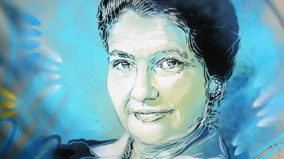 Le Prix Simone Veil. Mardi 24 mai 2022, Salon des Femmes de Lettres.
