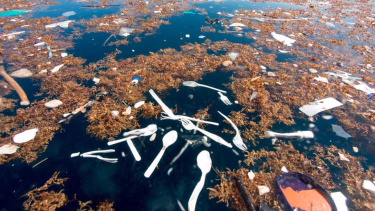 En Israël, les plastiques à usage unique déclenchent une guerre culturelle.