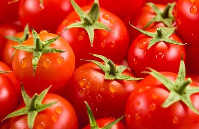 Etude du « Good Food Institute Israel ». Protéines alternatives.