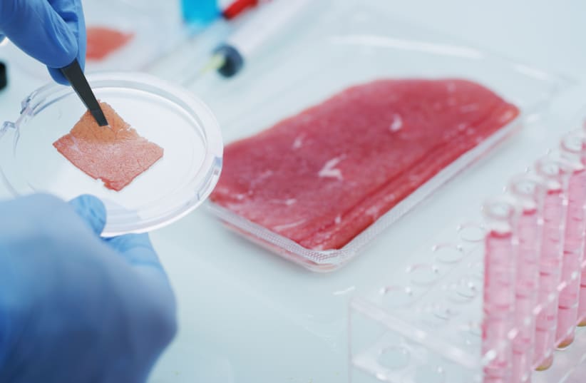 L’Europe subventionne l’israélien ProFuse Technology pour accélérer la production de viande cultivée.
