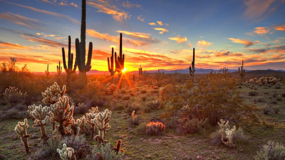 Hightech, cyber,… Israël, véritable source d’inspiration pour l’Arizona.