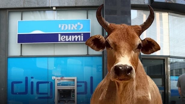 C’Israël. Un taureau en colère a fait irruption dans la « Leumi Bank ».