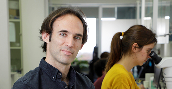 Explorer des idées folles. Prix Polymarthe au Prof Rechavi (Tel-Aviv University).