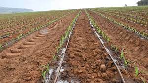 Israël est prêt à aider le Nigeria à développer des technologies pour lutter contre le changement climatique.