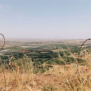 Le renouveau du tourisme rural autour des fermes innovantes en Israel