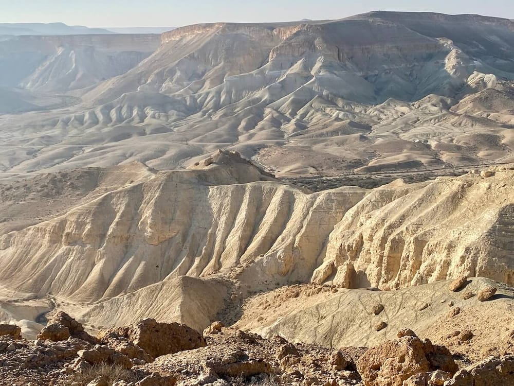 La Société pour la protection de la nature en Israël contre la nouvelle ville du Negev.