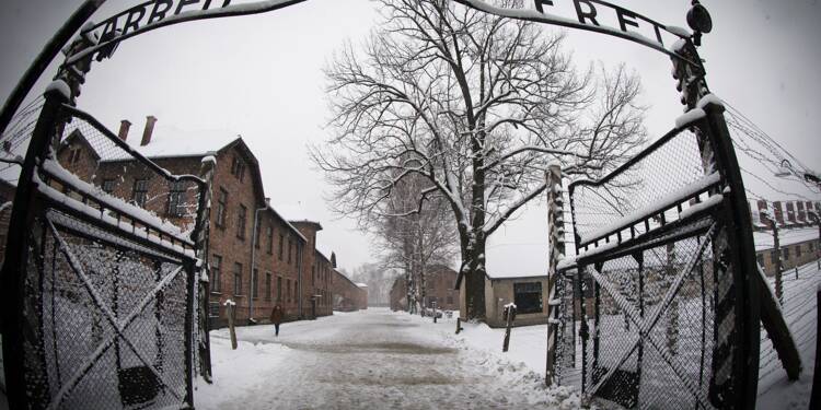 Le MDA, une activité de « traçage » des familles séparées par la Shoah.