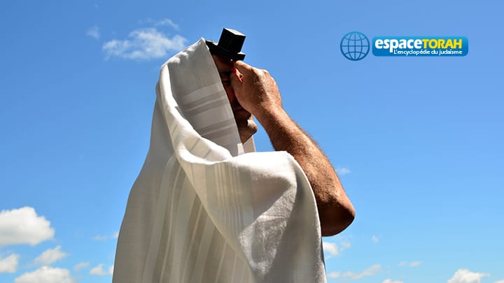 Gali Baharav-Miara. « L’Etat d’Israël n’aura plus de démocratie que le nom ».