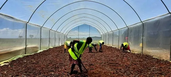 « Kibboutz et Innovation » : Quand le concept des kibboutz s’implante en Afrique.