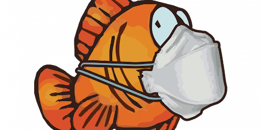 Avant de manger du poisson frais en Israël lisez cet article!