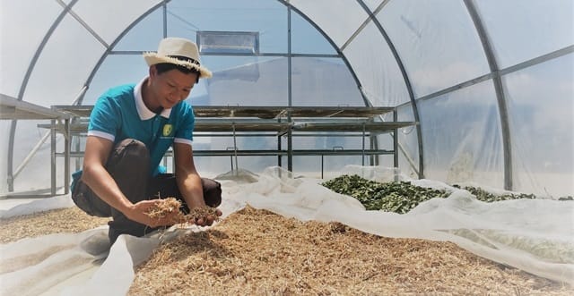 Des jeunes Vietnamiens lancent une ferme biologique après avoir étudié en Israël.