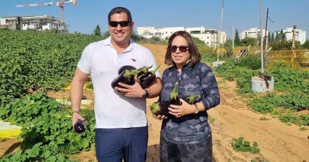 Des volontaires affluent en Israël pour récolter des fruits et des légumes.
