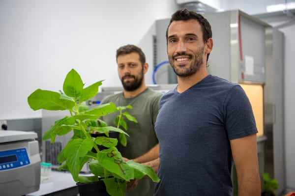 A l’Honneur. Le Kibbutz Yotvata et la start-up d’agritech, Pigmentum.