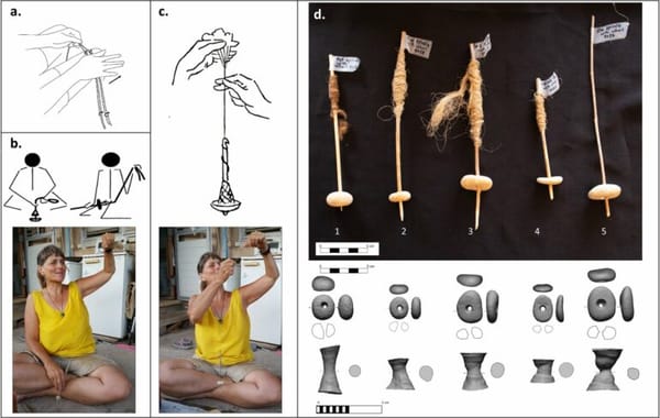 Vieilles de 12 000 ans, des pierres trouvées en Israël pourraient être les premières traces d’une technologie semblable à celle de la roue.