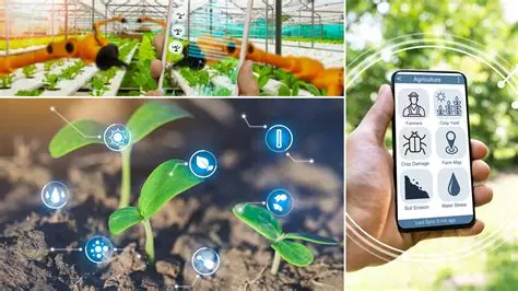 L’AgTech en Israël : Un désert en fleurs.