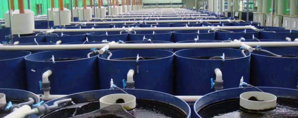 Watershed, Evogene et l’Université Ben-Gurion subventionnés pour développer les produits basés sur les sciences de la vie,