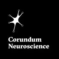 Israël identifie les régions cérébrales responsables de la neuromodulation immunitaire.