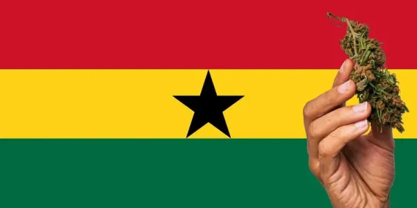 Au Ghana, Israël aide l’exploitation du cannabis, moteur économique-clé grâce à l’infusion de technologies.